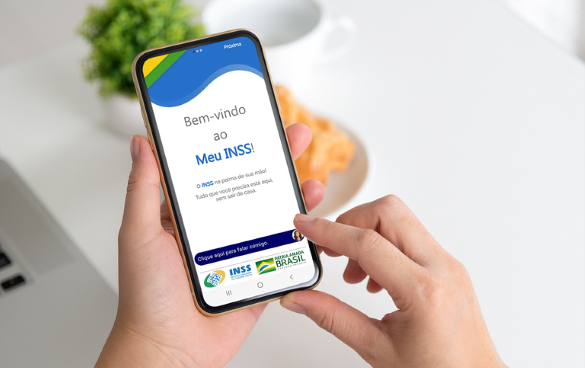 Acompanhe o resultado da solicitação pelo portal Meu INSS. Imagem: Governo Federal